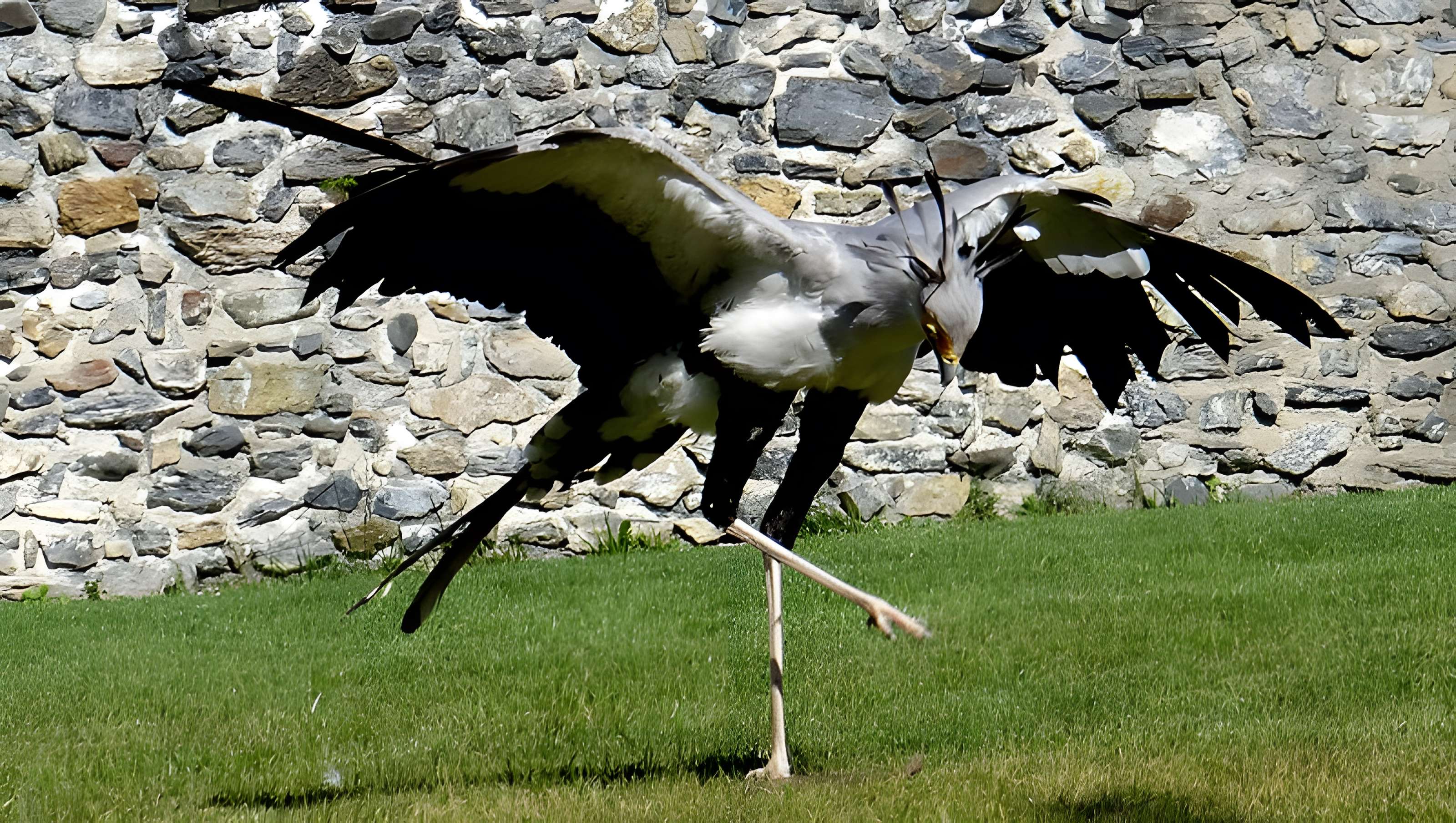 Château de Beaucens 
