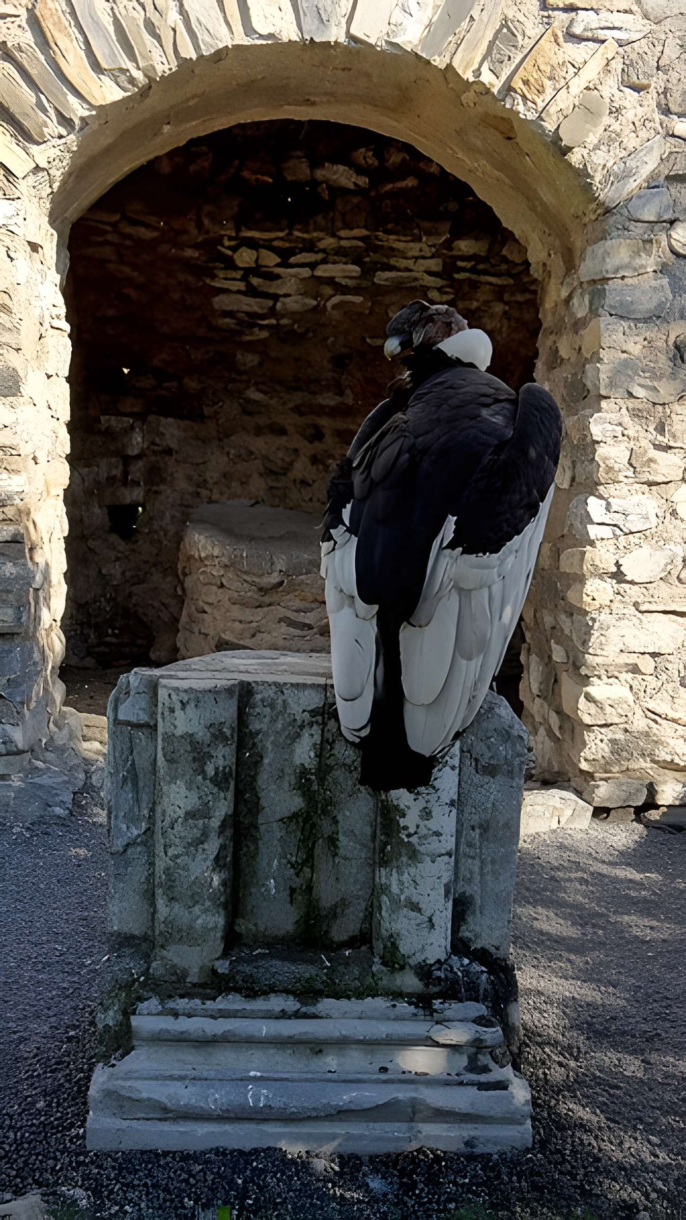 Château de Beaucens 