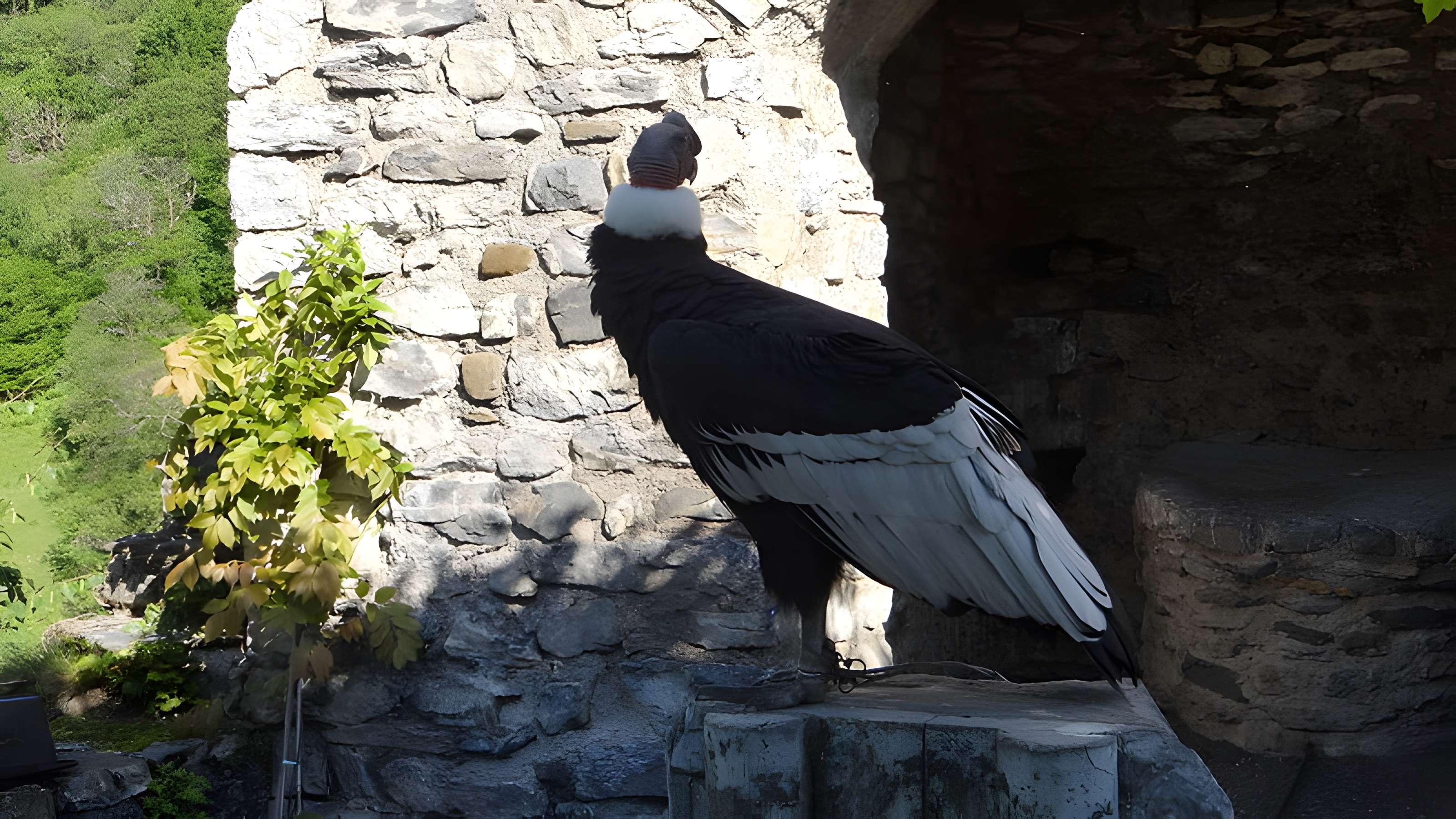 Château de Beaucens 