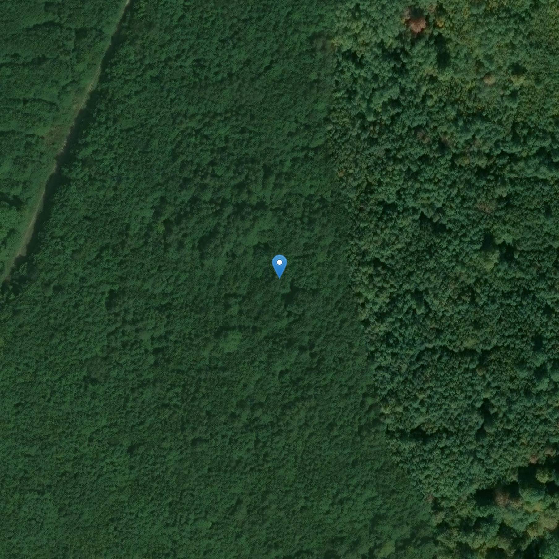 Photo de Tumular necropolis