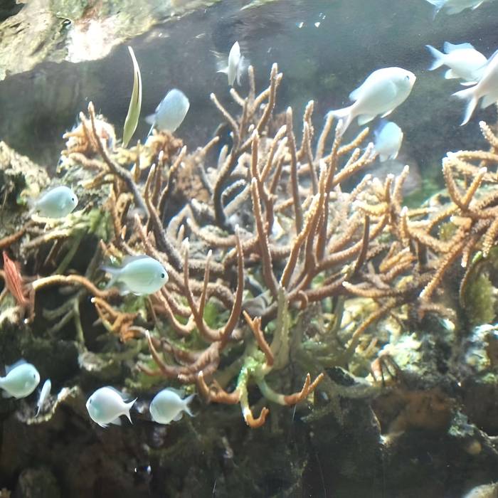 Photo de Ancien institut de zoologie