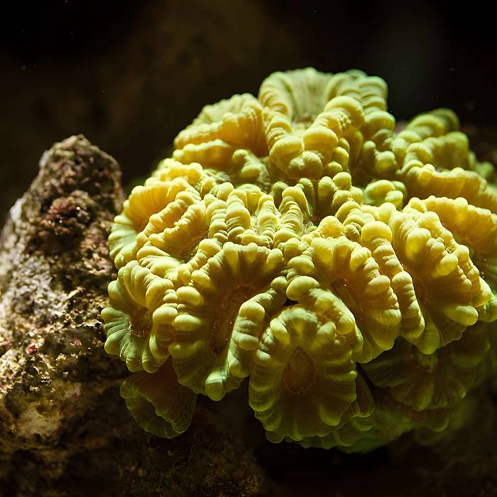 Photo de Ancien institut de zoologie