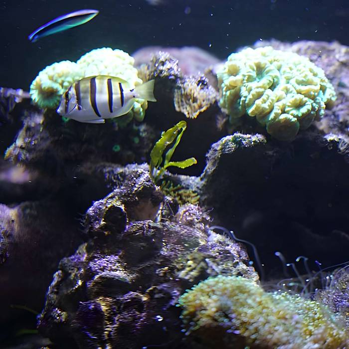 Photo de Ancien institut de zoologie