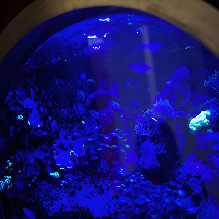 Photo de Ancien institut de zoologie