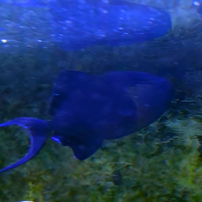 Photo de Ancien institut de zoologie