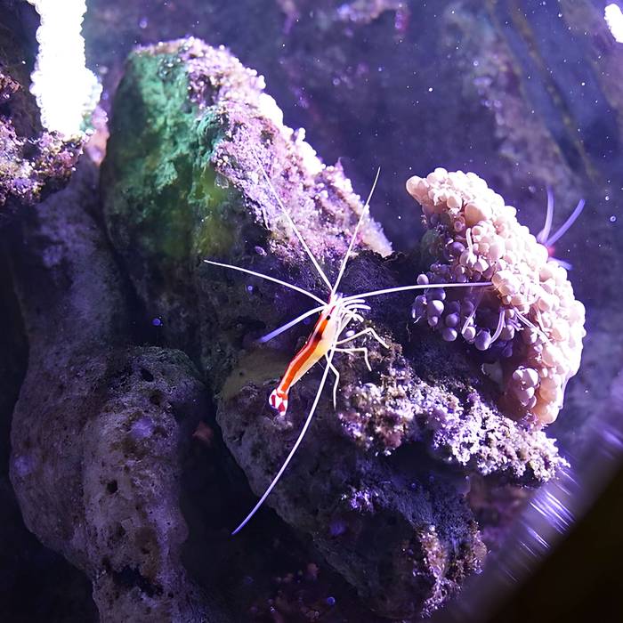 Photo de Ancien institut de zoologie