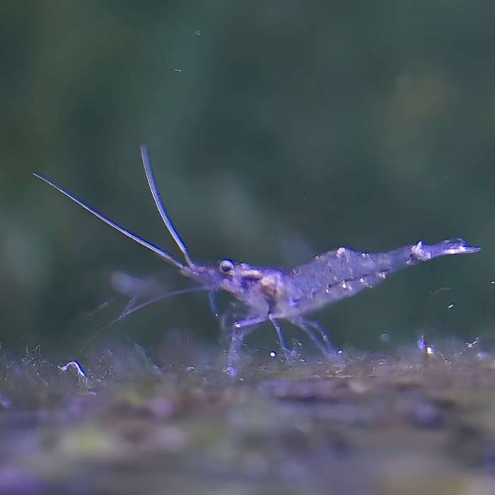 Photo de Ancien institut de zoologie
