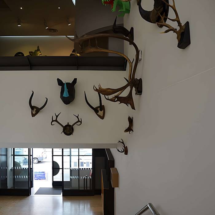 Photo de Ancien institut de zoologie