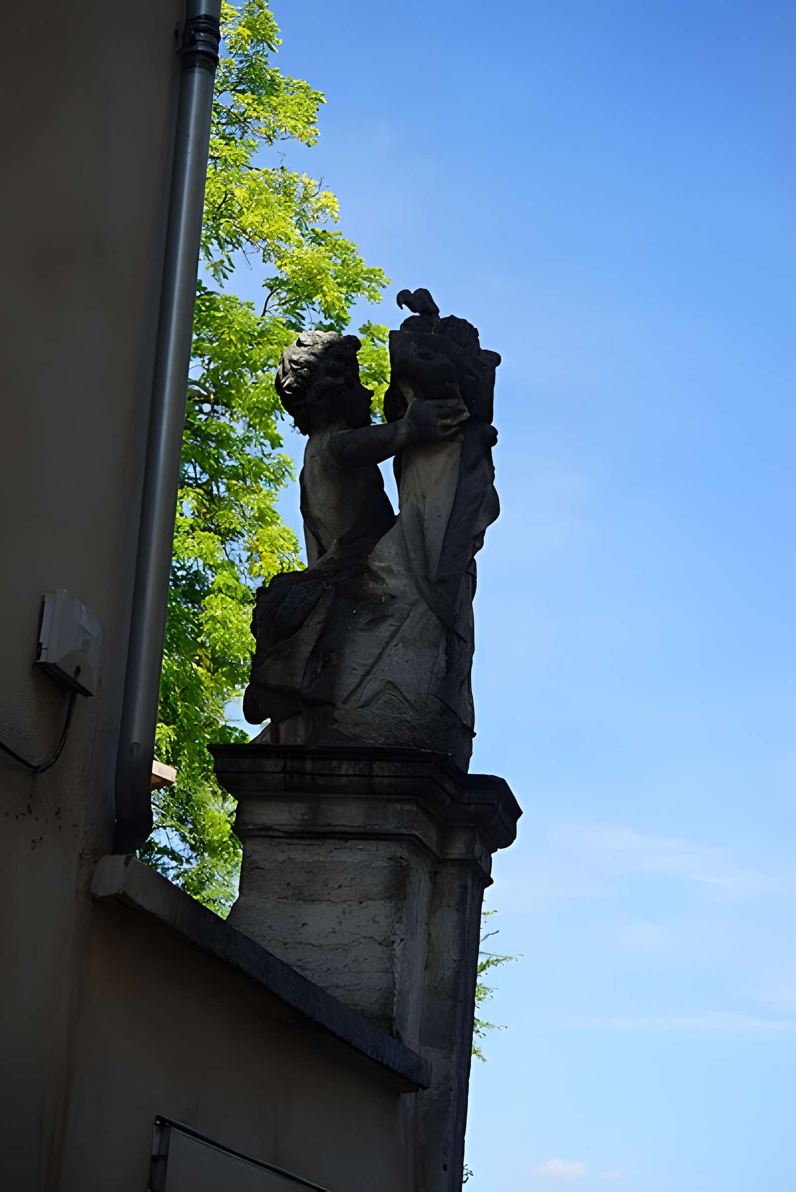 Ancien institut de zoologie