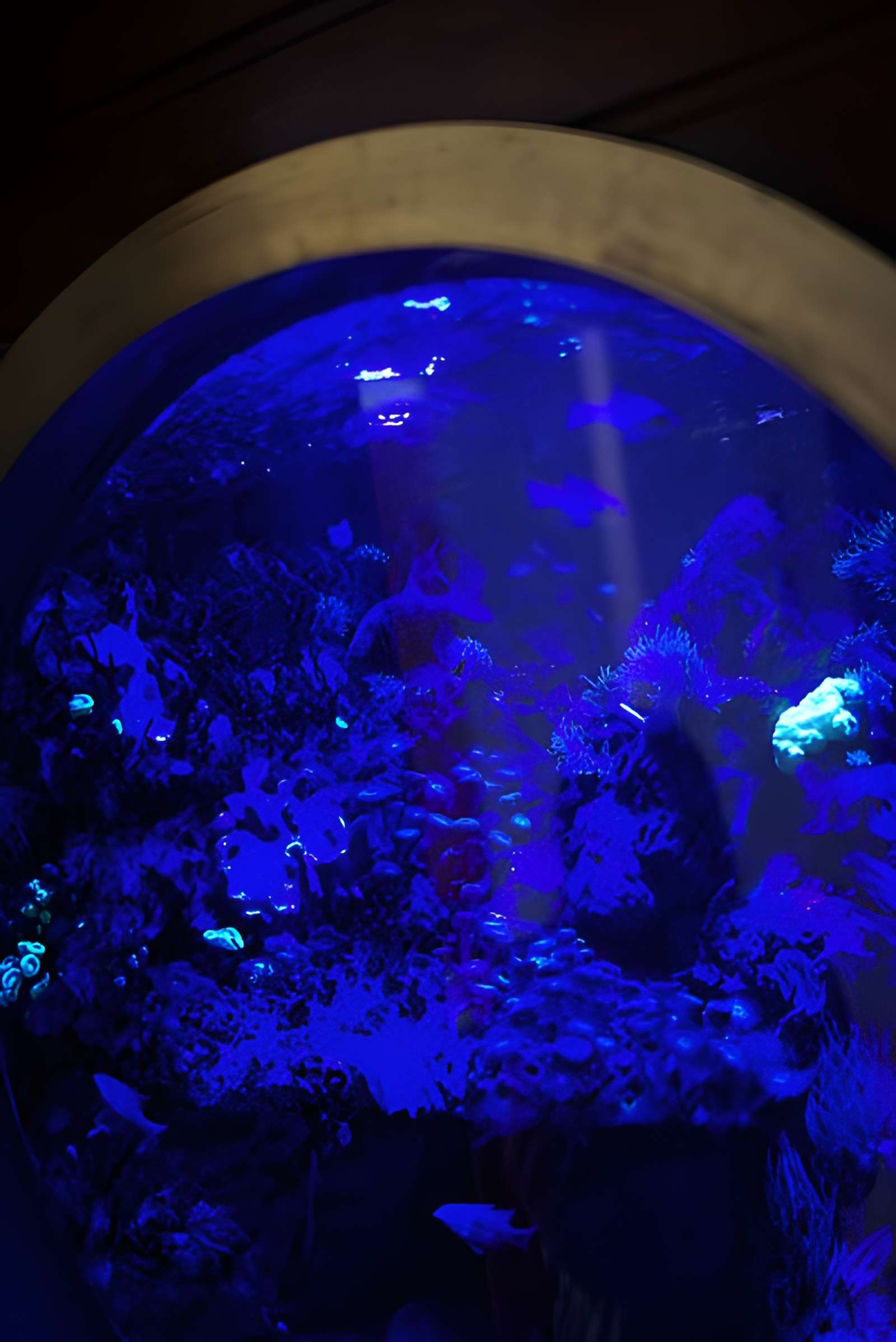 Ancien institut de zoologie