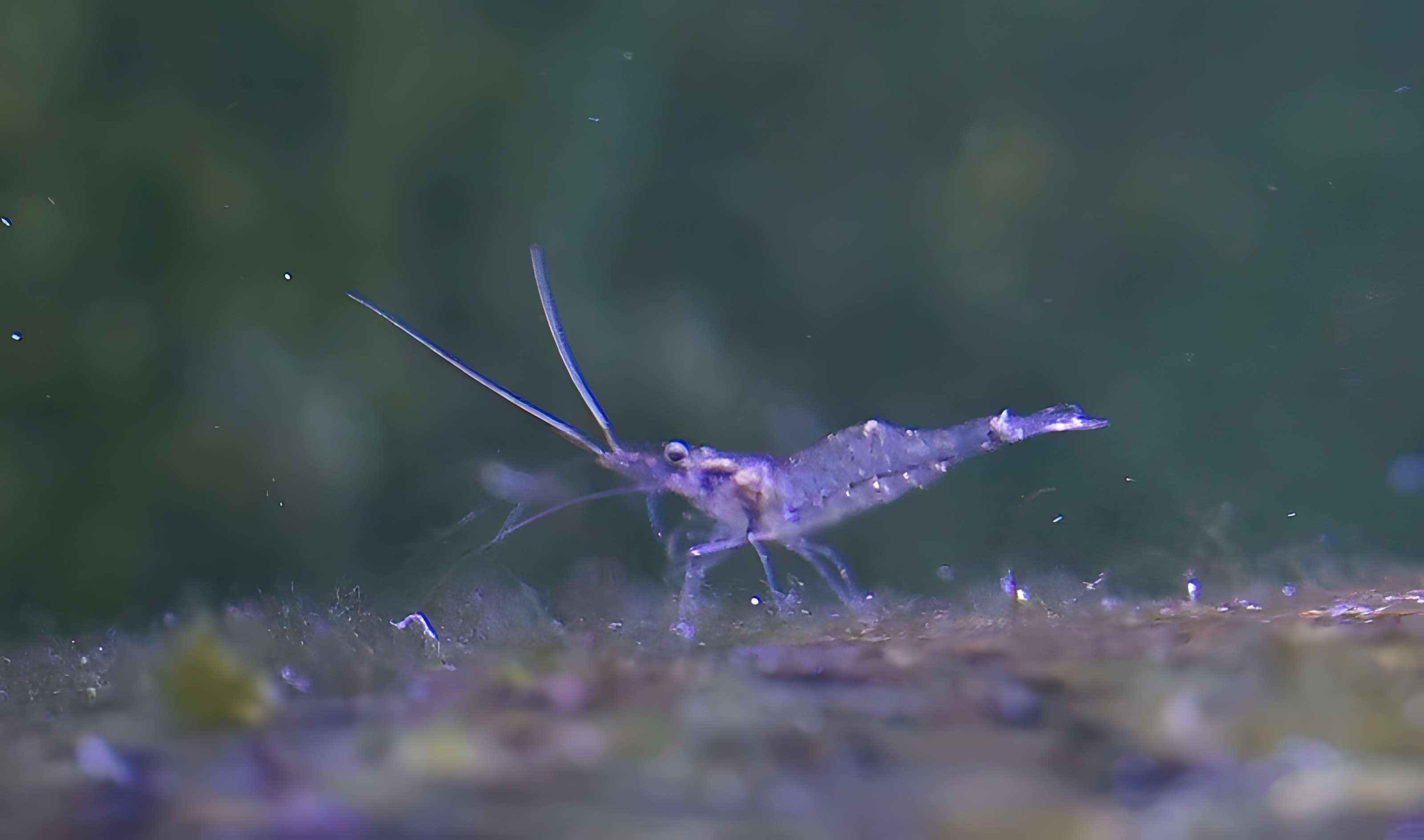 Ancien institut de zoologie