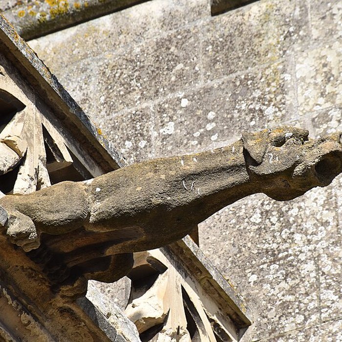 Photo de Église Saint-Michel de Pont-lÉvêque