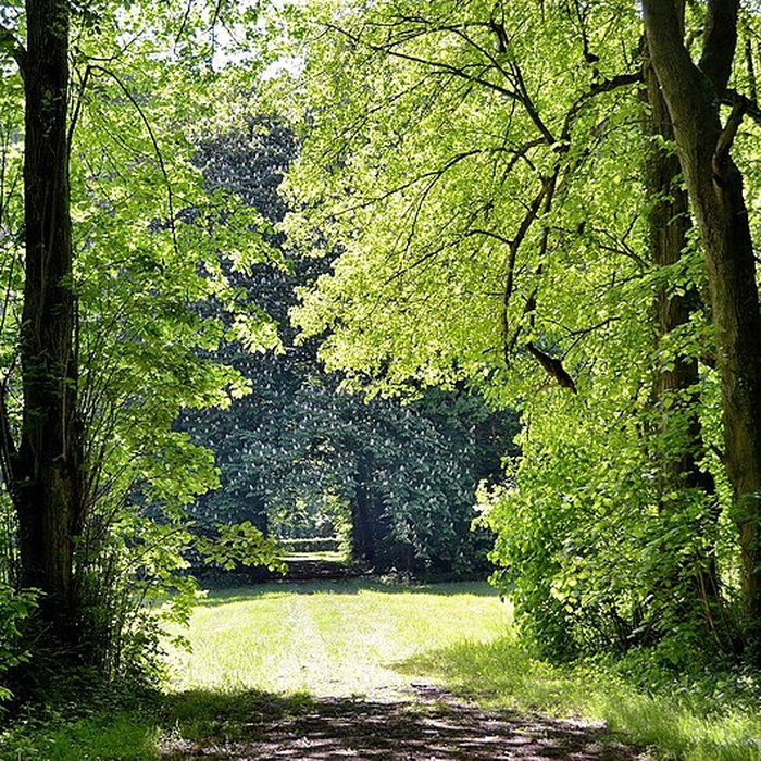 Photo de Château de Beaumesnil