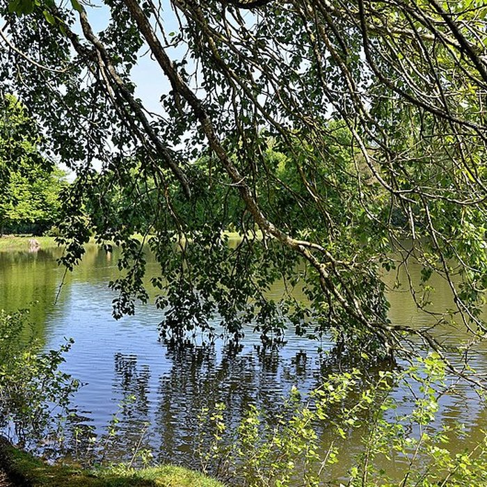 Photo de Château de Beaumesnil
