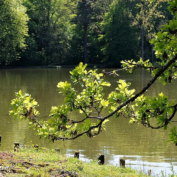 Photo de Château de Beaumesnil