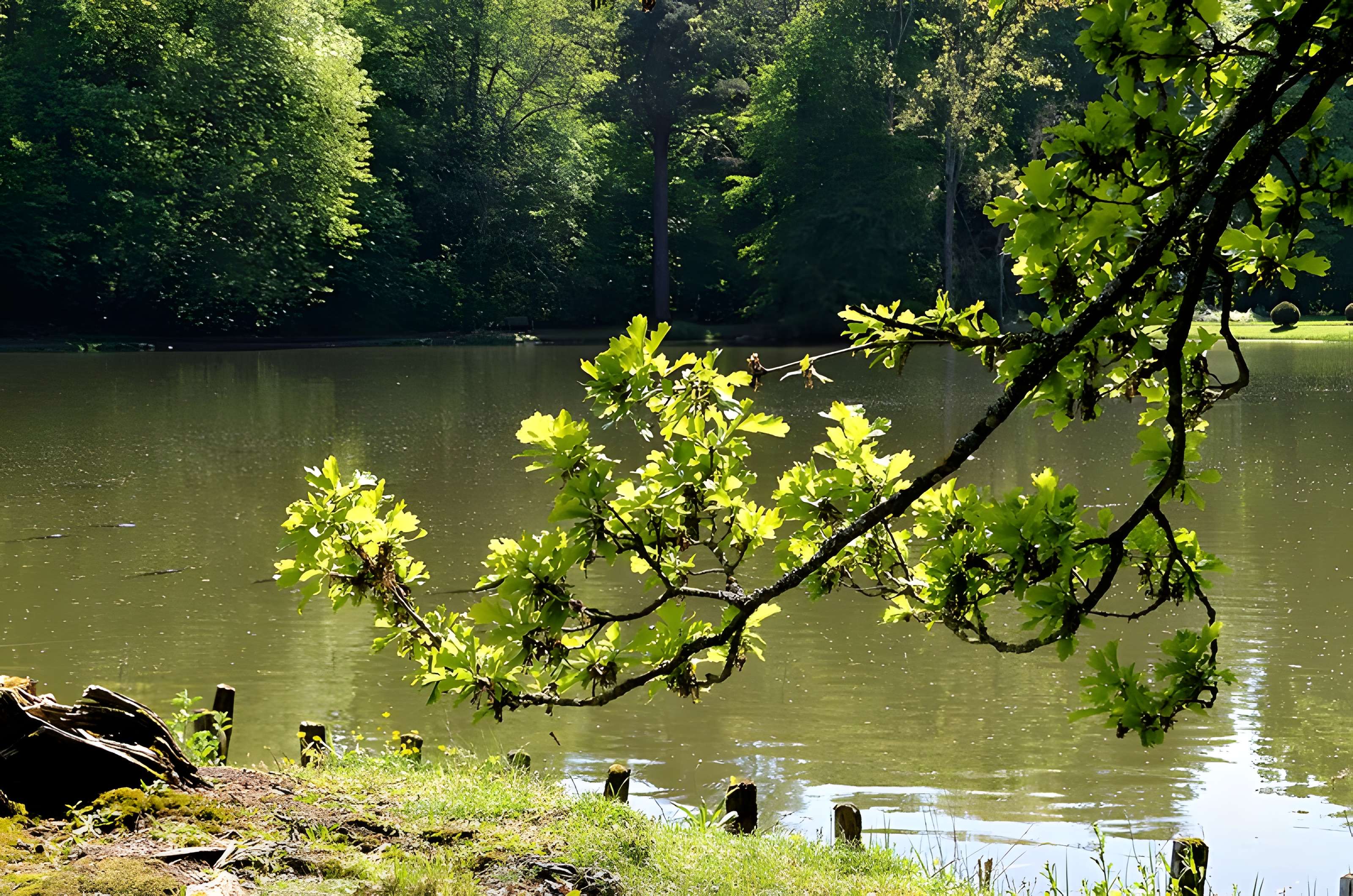 Château de Beaumesnil