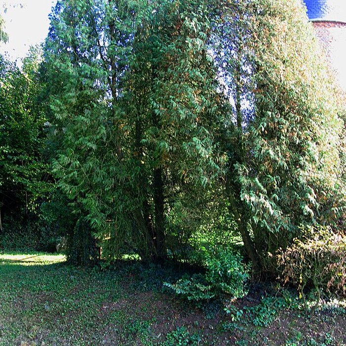 Photo de Église Saint-Nicolas de Grandrieux