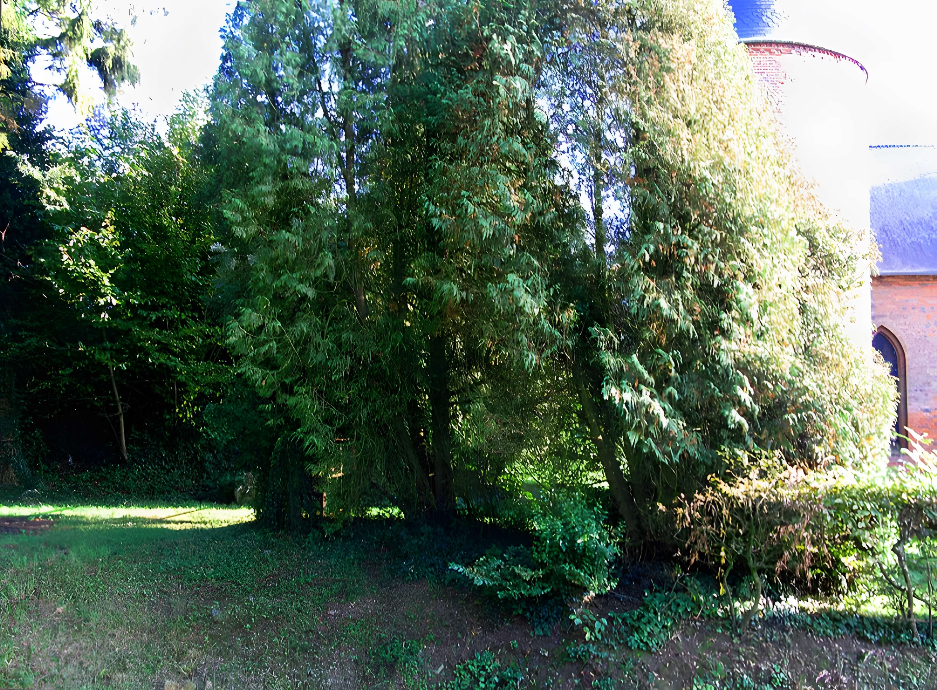 Église Saint-Nicolas de Grandrieux