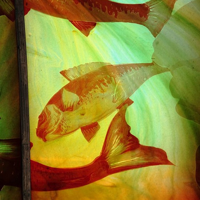 Photo de Parc Corbin