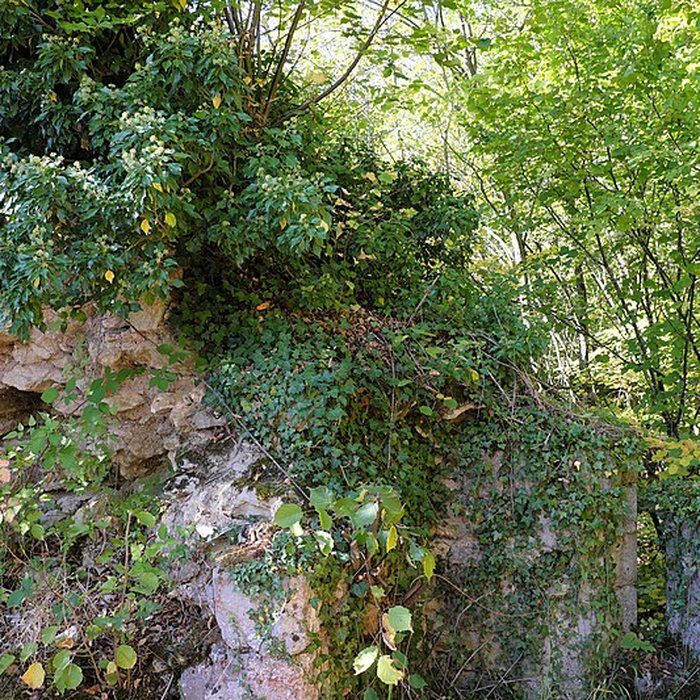 Photo de Château de lAvant-Garde