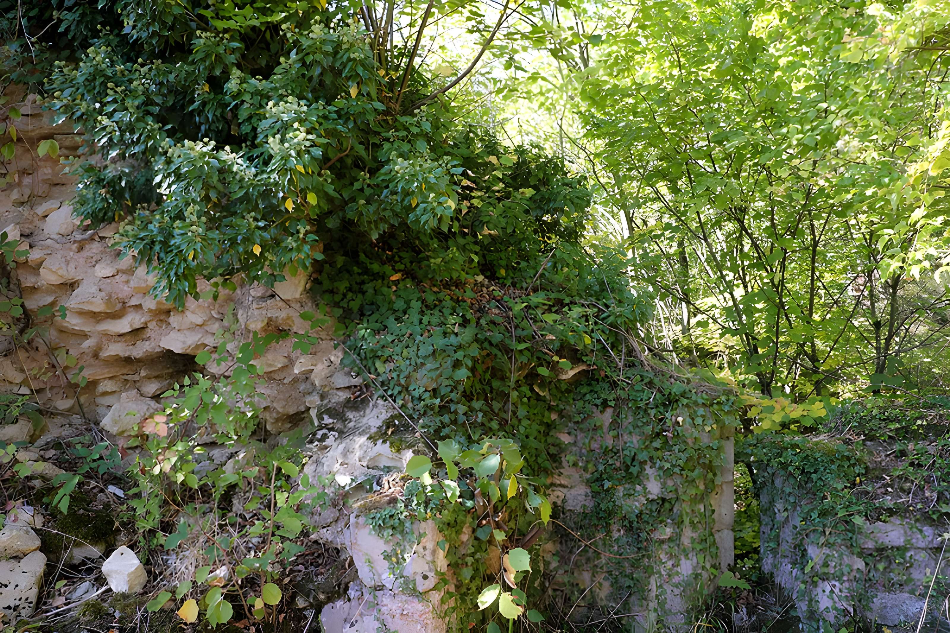 Château de l'Avant-Garde