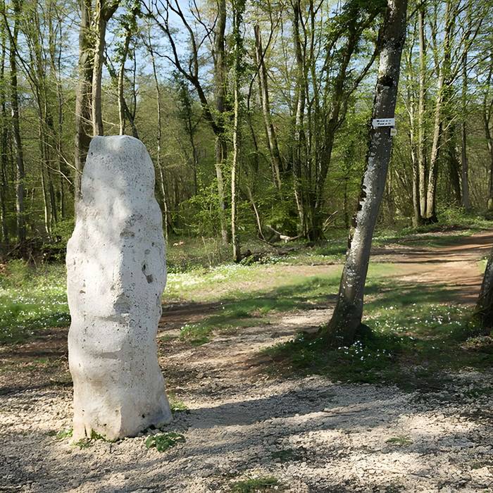 Photo de Menhir dit la Pierre au Jô
