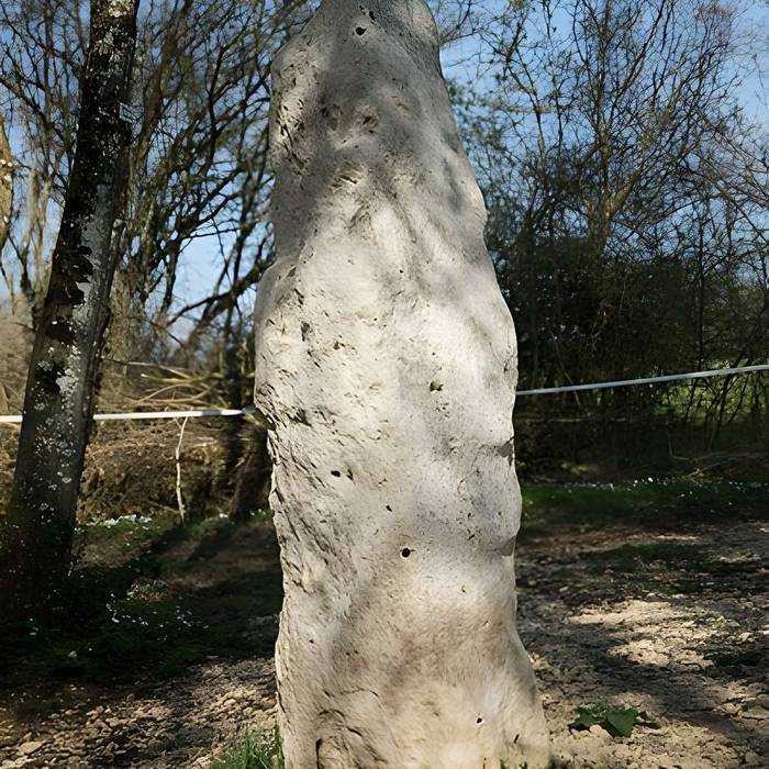 Photo de Menhir dit la Pierre au Jô