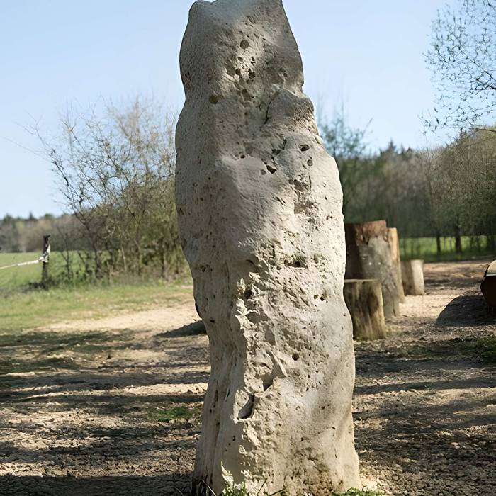 Photo de Menhir dit la Pierre au Jô