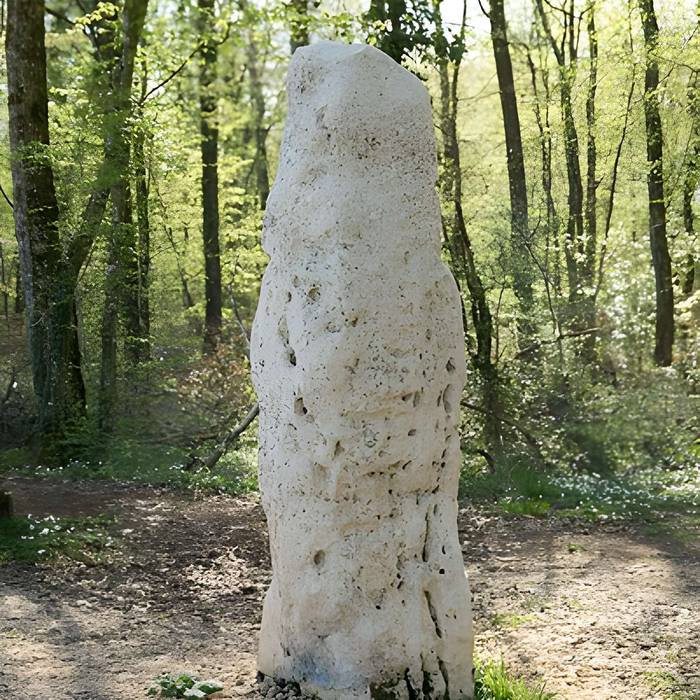 Photo de Menhir dit la Pierre au Jô