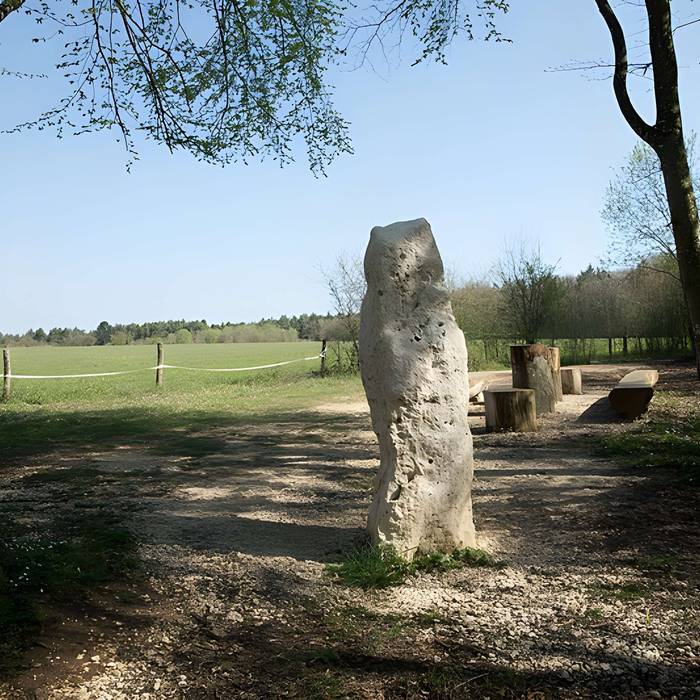 Photo de Menhir dit la Pierre au Jô