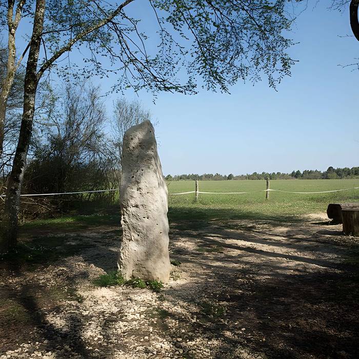 Photo de Menhir dit la Pierre au Jô