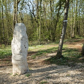 Menhir dit la Pierre au Jô