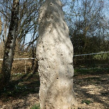Menhir dit la Pierre au Jô