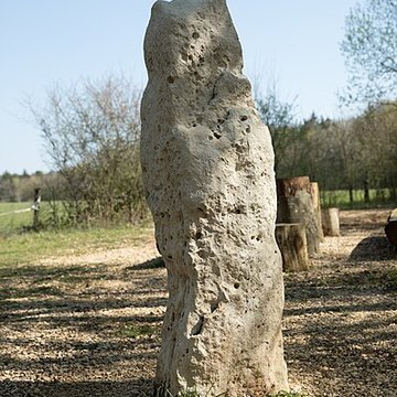 Menhir dit la Pierre au Jô