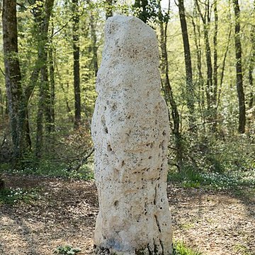 Menhir dit la Pierre au Jô