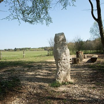 Menhir dit la Pierre au Jô