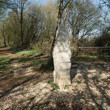 Menhir dit la Pierre au Jô