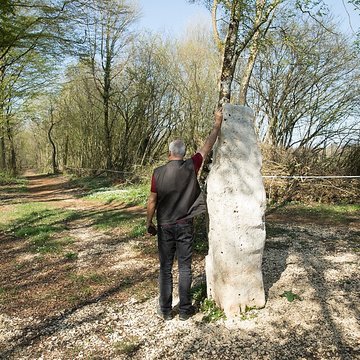 Menhir dit la Pierre au Jô