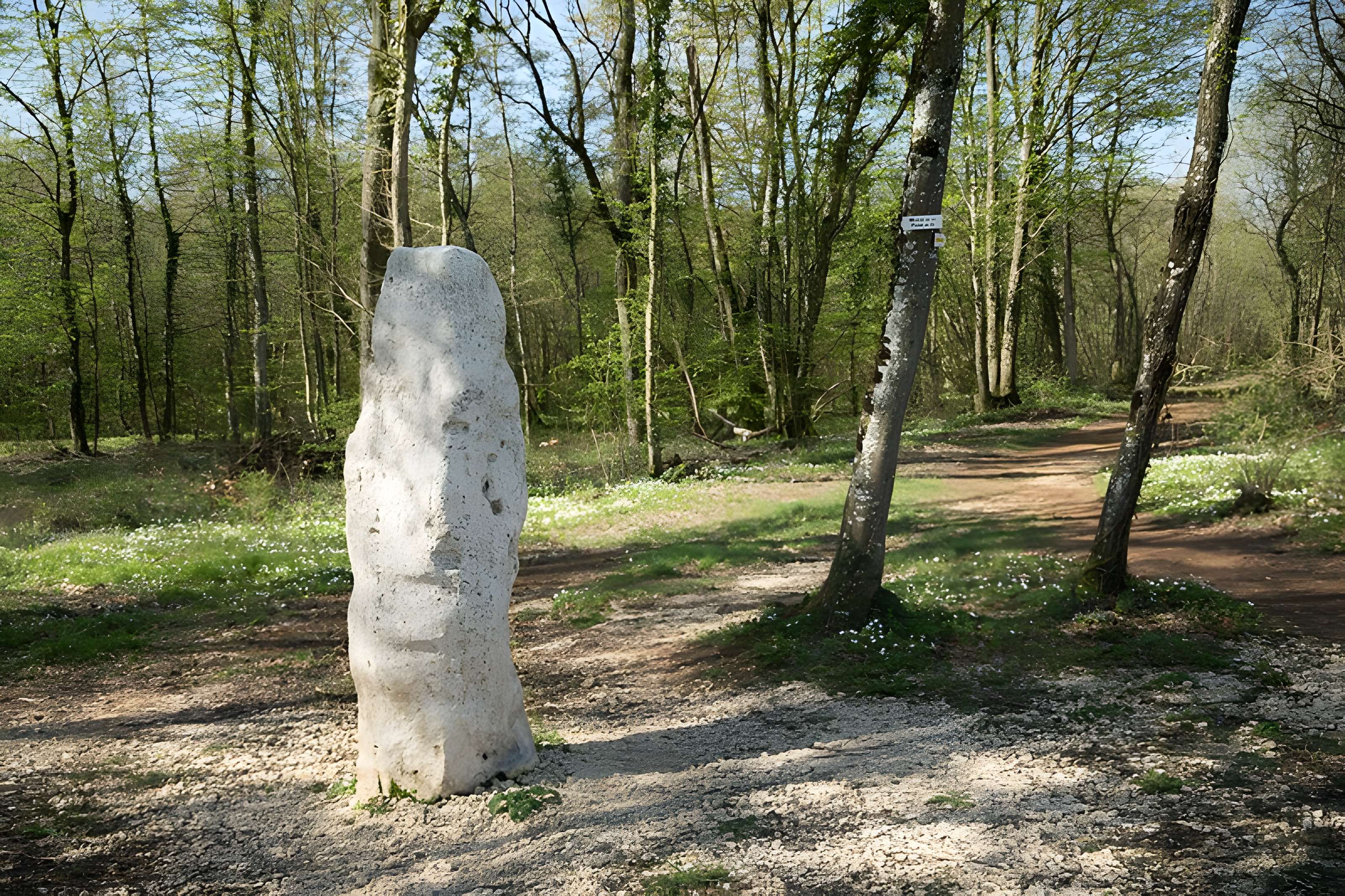 Menhir dit la Pierre au Jô