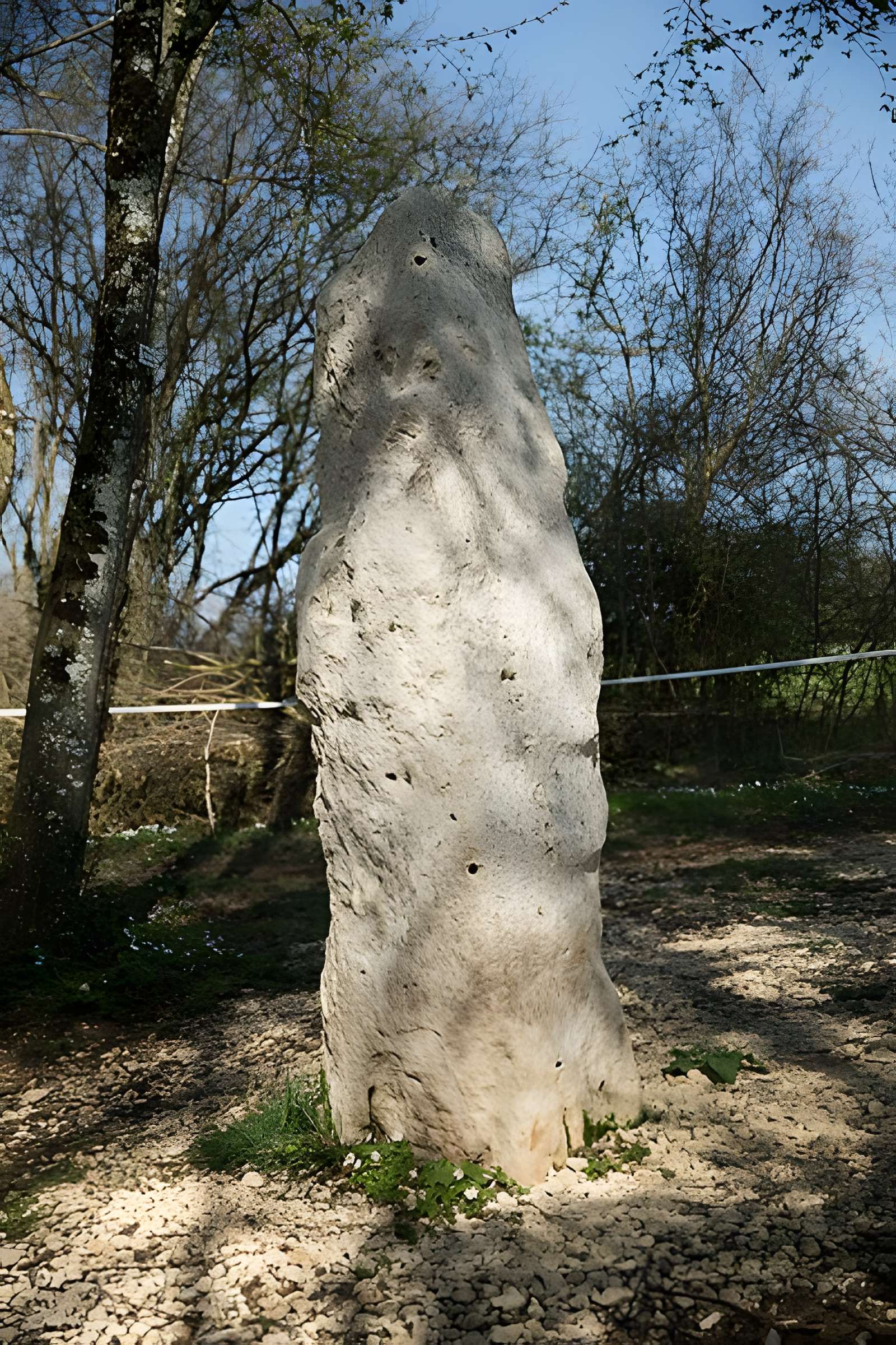 Menhir dit la Pierre au Jô