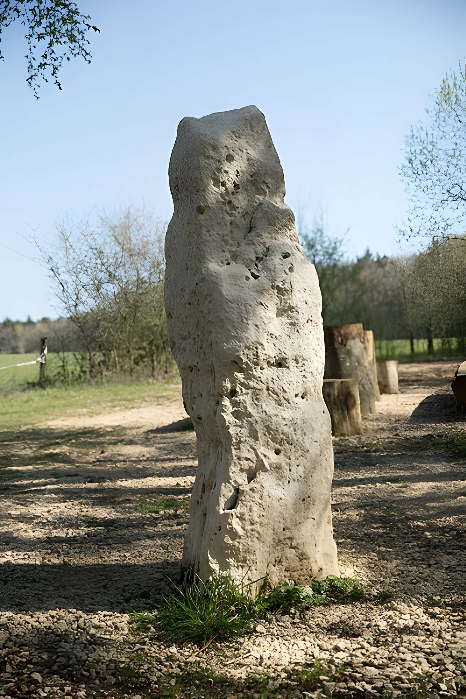 Menhir dit la Pierre au Jô