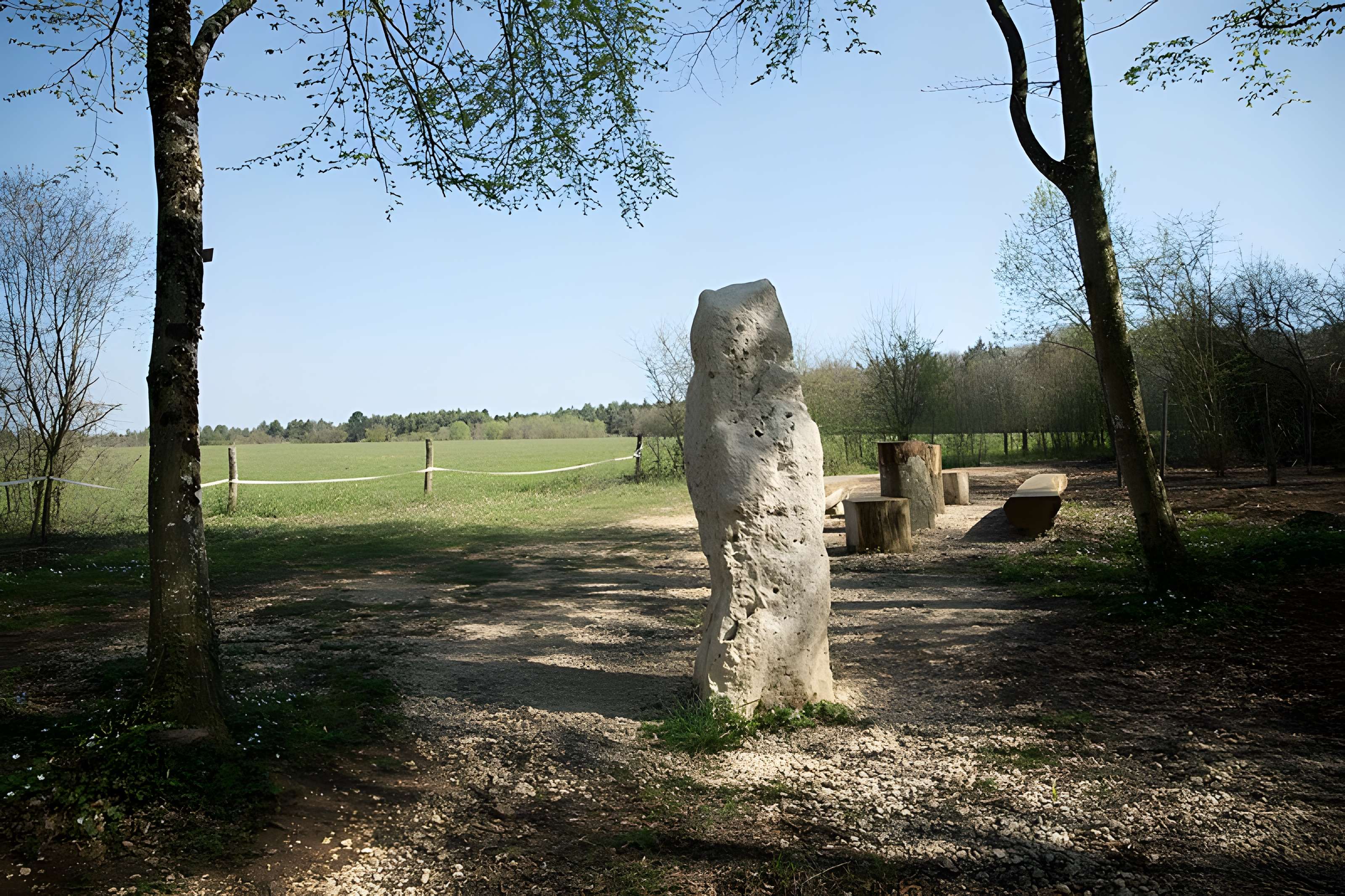 Menhir dit la Pierre au Jô