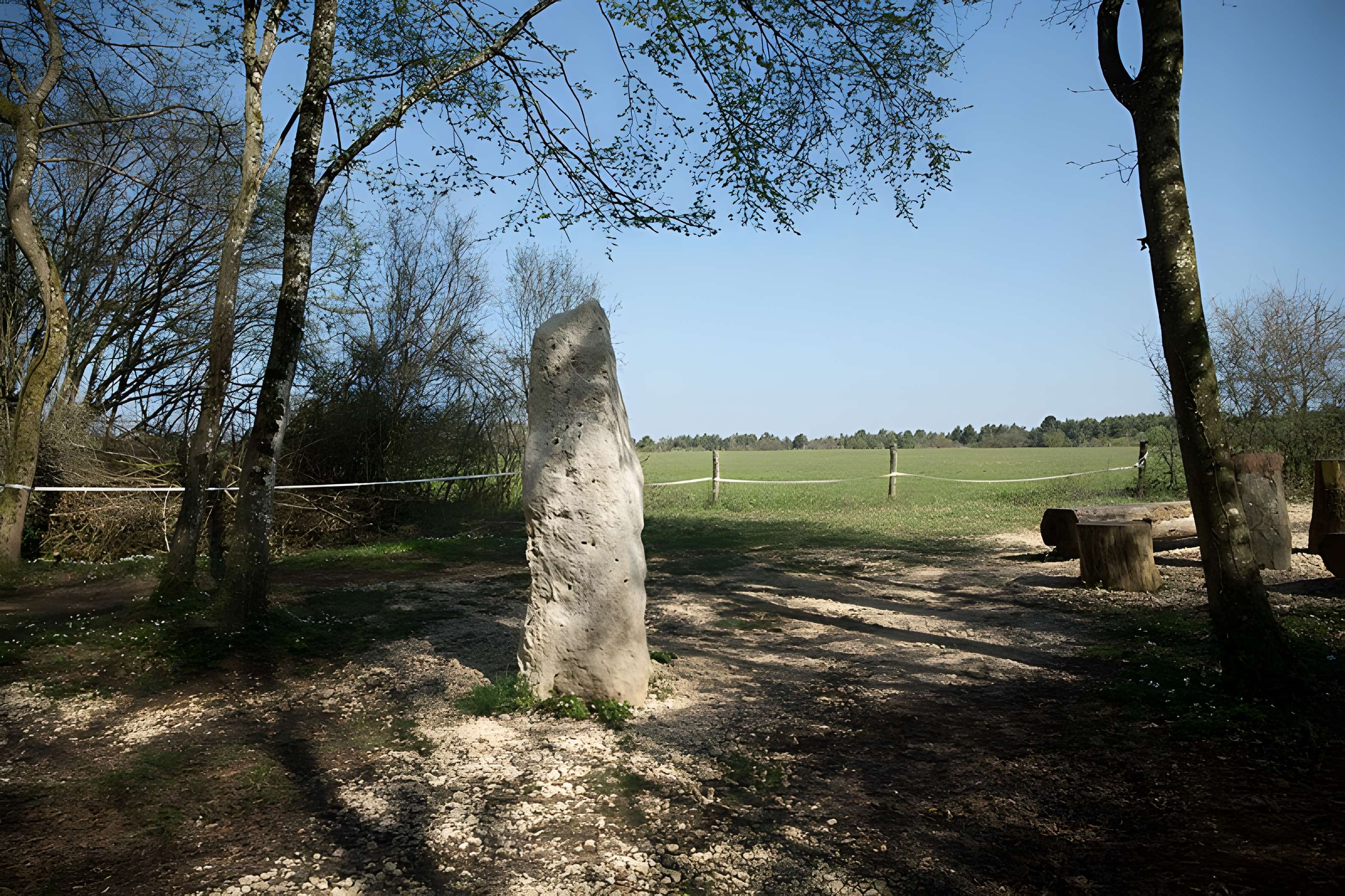 Menhir dit la Pierre au Jô