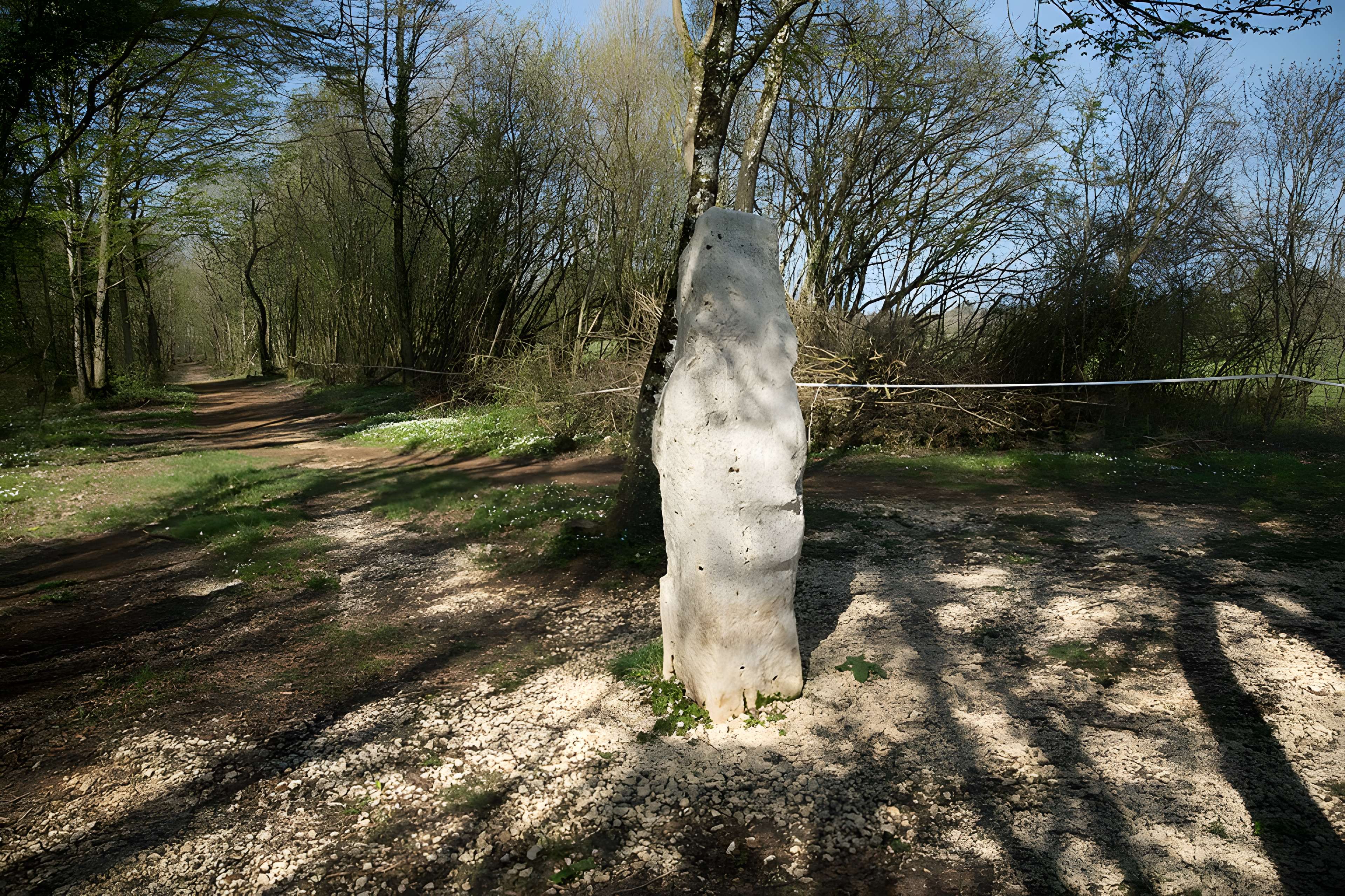 Menhir dit la Pierre au Jô