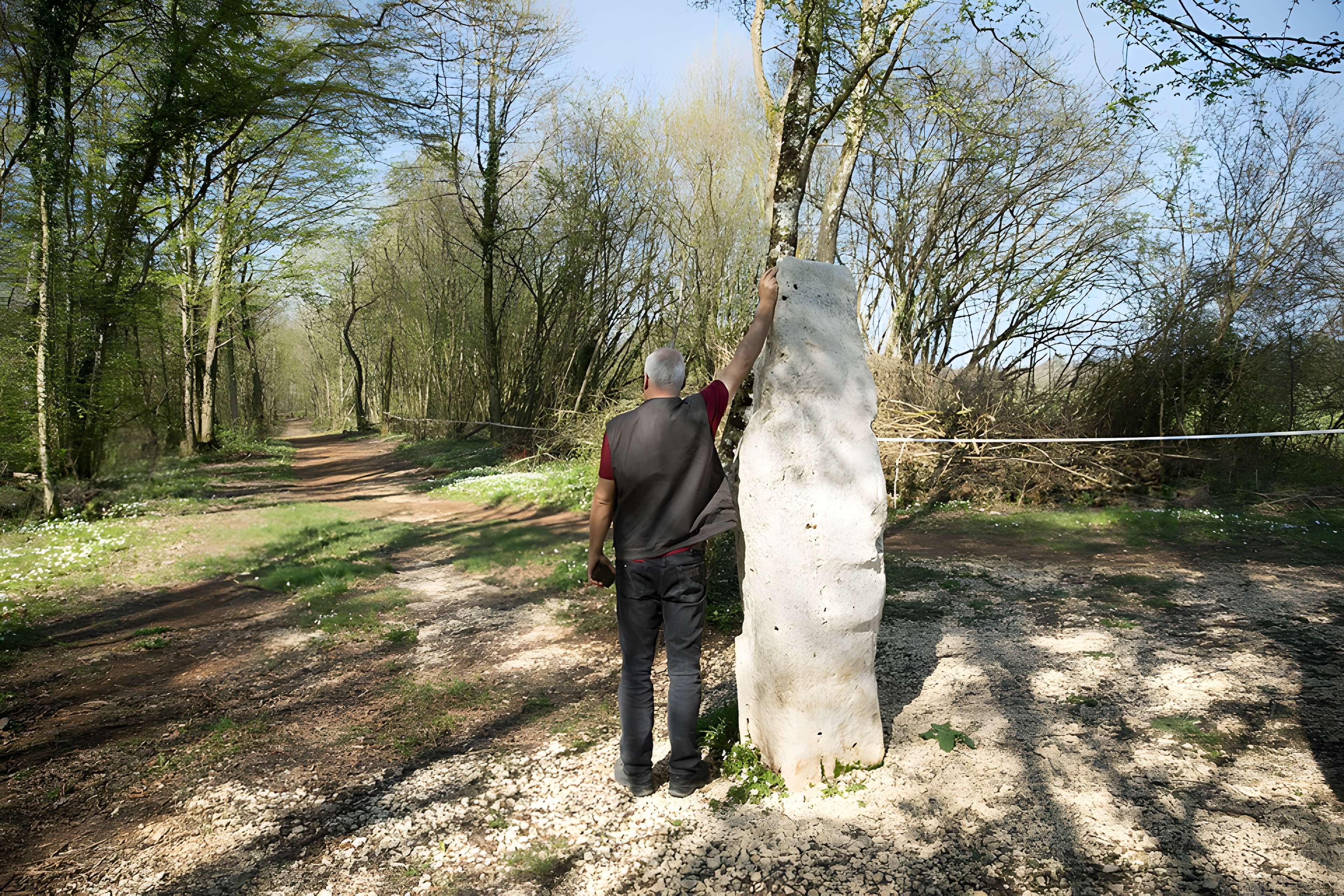 Menhir dit la Pierre au Jô