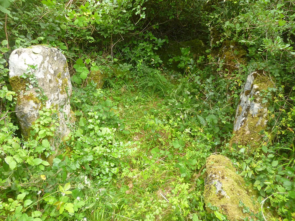Dolmen de Bois l'Evêque