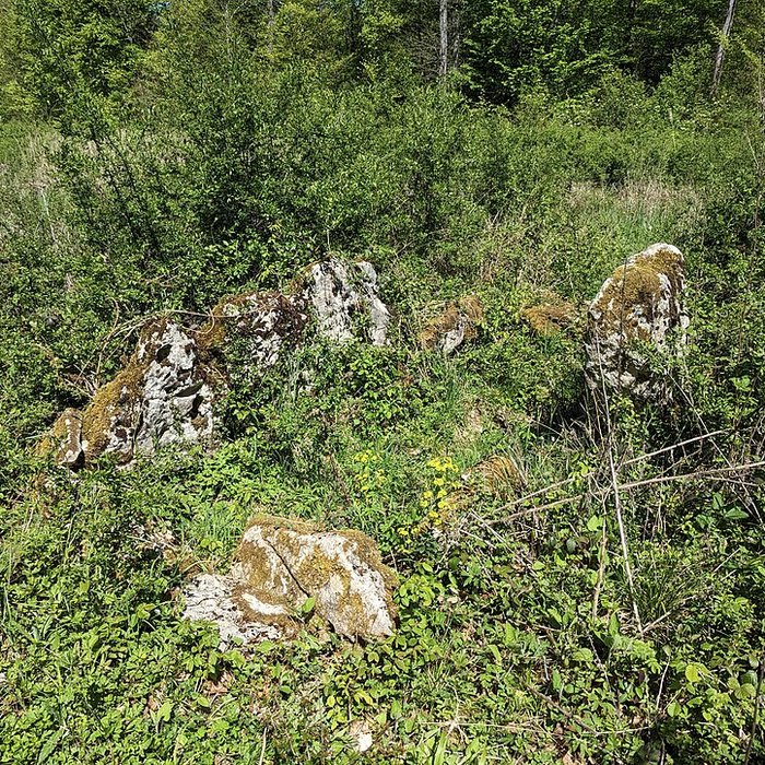 Photo de Dolmen de Bois lEvêque