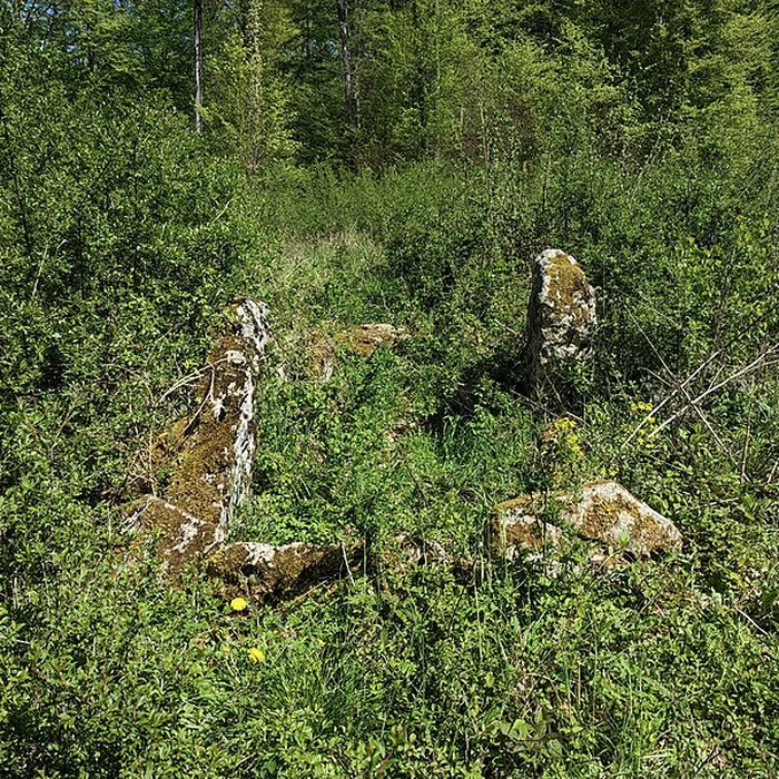 Photo de Dolmen de Bois lEvêque