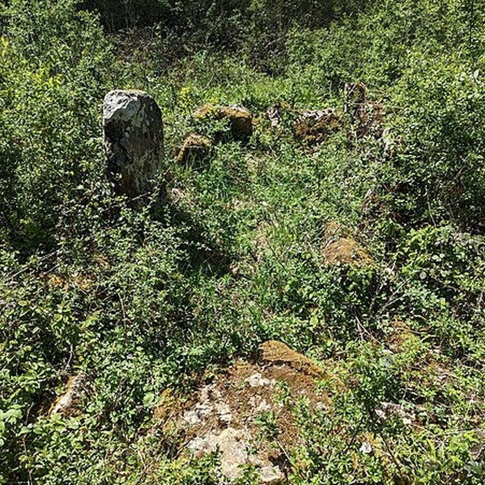 Photo de Dolmen de Bois lEvêque