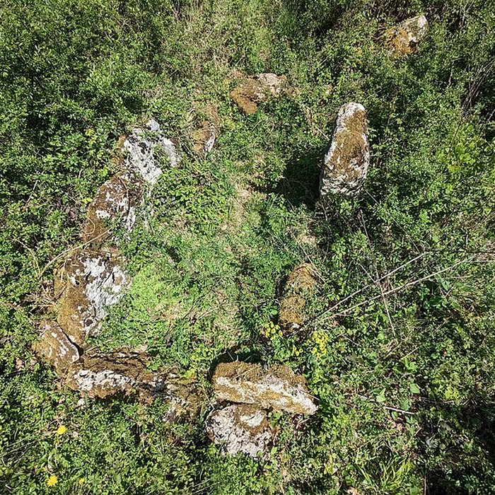 Photo de Dolmen de Bois lEvêque